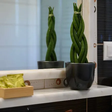 Alina Appartement